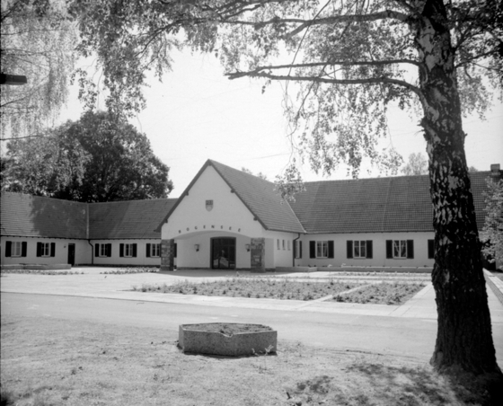 Goebbels Waldhof am Bogensee zum Ende der DDR, Baum im Vordergrund