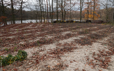 Blockhaus<br>Die 1930er Jahre